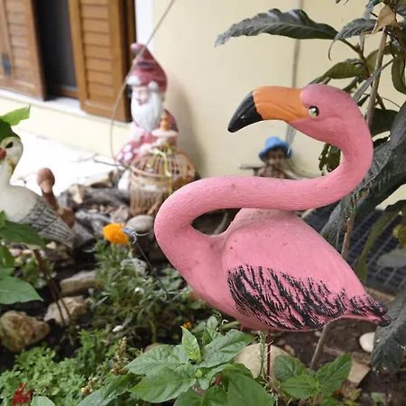 Anemos Old Town Daire Kavala